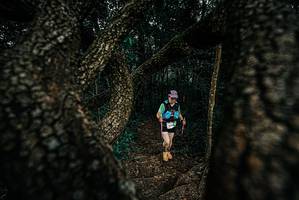 BIB: 
                            <button type="button" onclick="openModal(25702756)" class="btn btn-primary btn-sm float-right btn-popup" data-toggle="modal" data-target=".modal-high-quality">
                        <i class="fas fa-shopping-cart"></i> Add to Cart
                    </button>
                                            <button type="button" onclick="isThisMe(25702756, true)" class="btn btn-success btn-sm float-right btn-popup btn-isme hidden" data-toggle="tooltip" data-placement="bottom" title="นี่คือรูปของคุณใช่ไหม คลิกที่นี่เพื่อเอาเข้าอัลบั้ม">
                        <i class="fas fa-plus"></i> Add to album
                    </button>
                    <button type="button" onclick="isThisMe(25702756, false)" class="btn btn-warning btn-sm float-right btn-popup btn-isnotme hidden">
                        <i class="fas fa-ban"></i> Remove from album
                    </button>